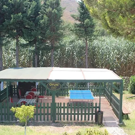 Klados 3*