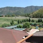 Klados 3*